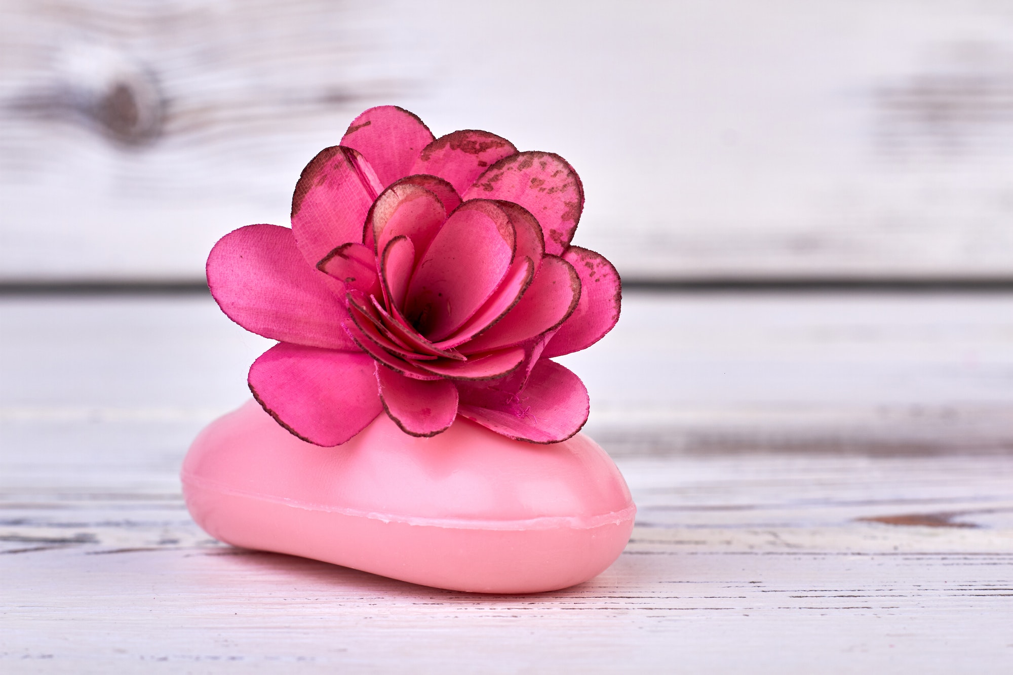 Close-up pink soap with rose flower head on white wood.