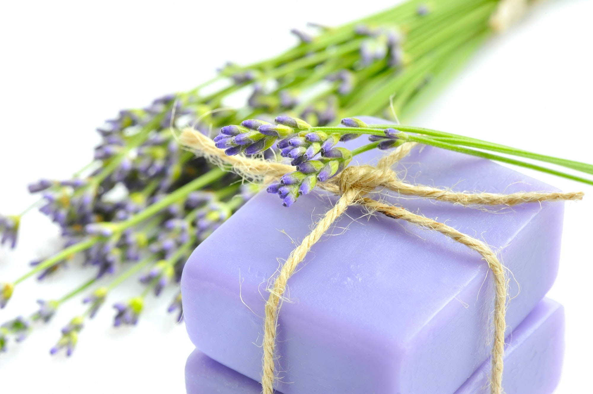 Handmade soap and lavender flowers on a white background