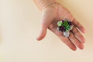 Realistic succulents made of polymer clay in a pot in the shape of a turtle in the palm